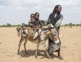 تصاعد العنف في السودان: أزمة إنسانية عاجلة